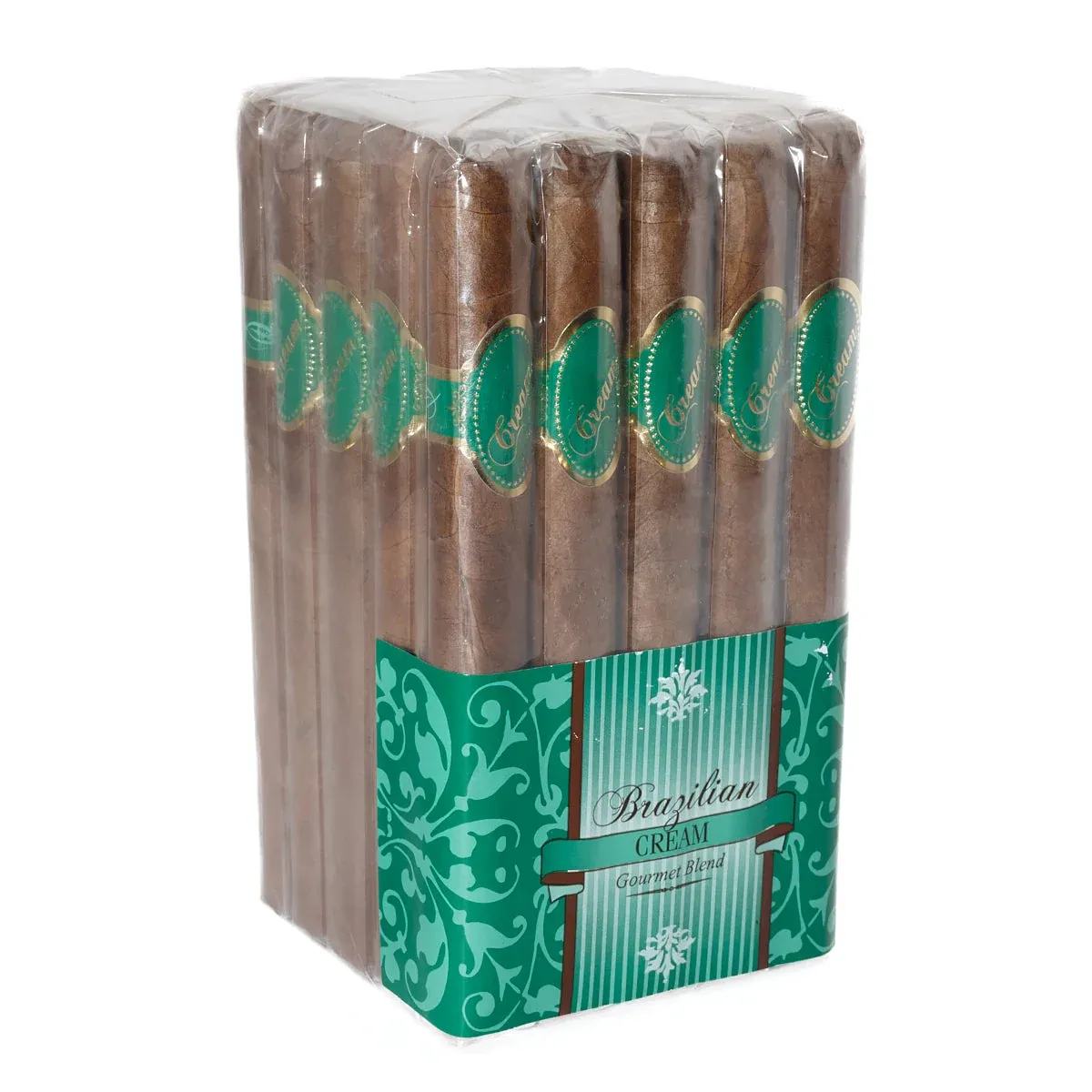 CAO Brazilia Churchill